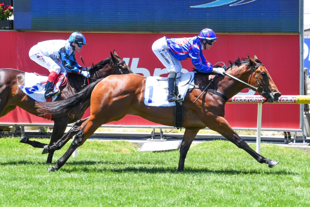 Racing Previews tweet media