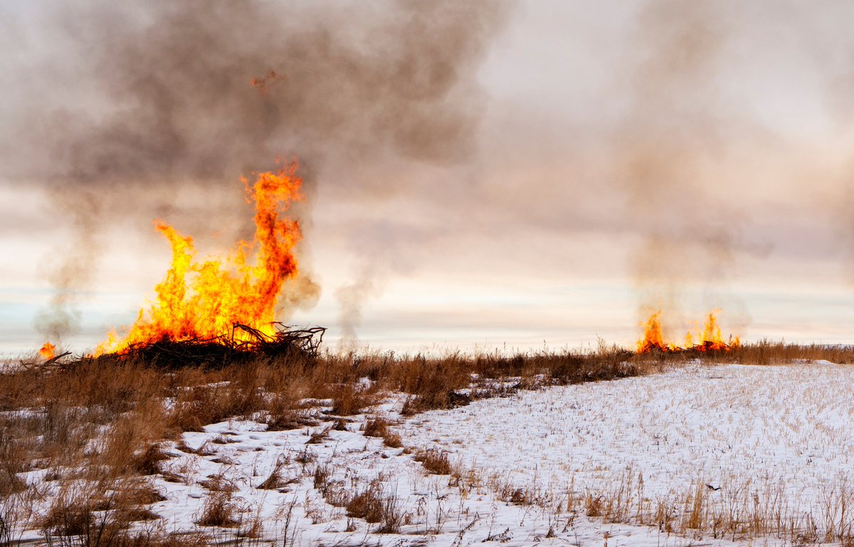 Red Deer County tweet media