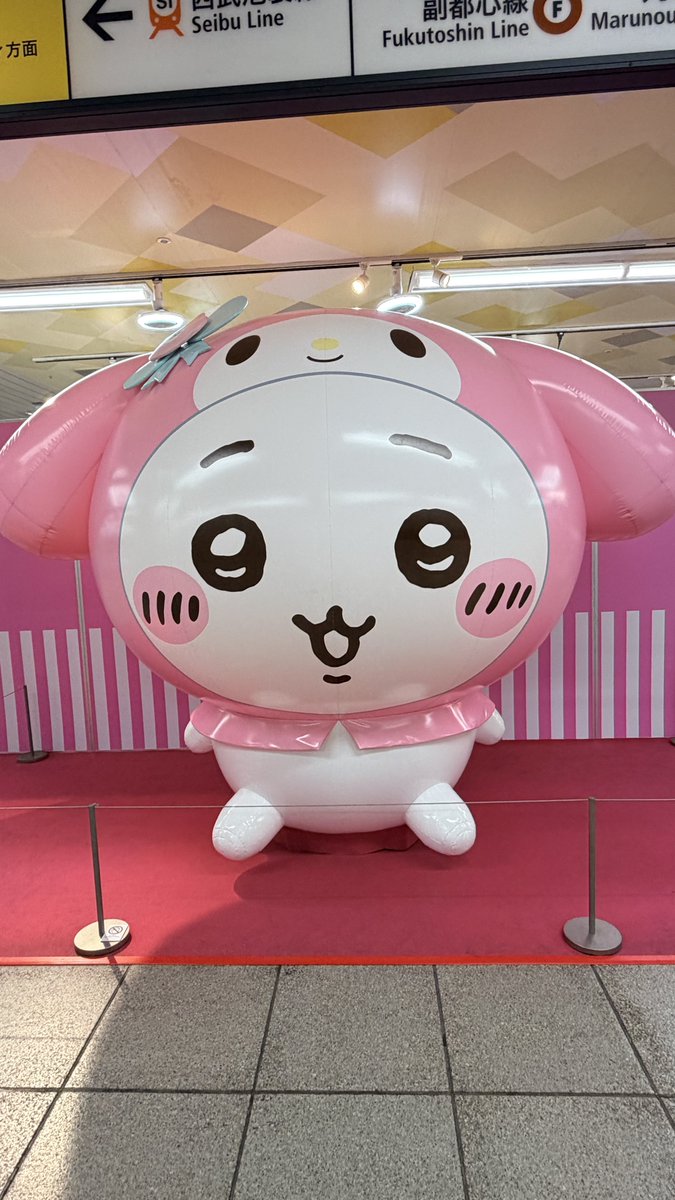 おはようございます