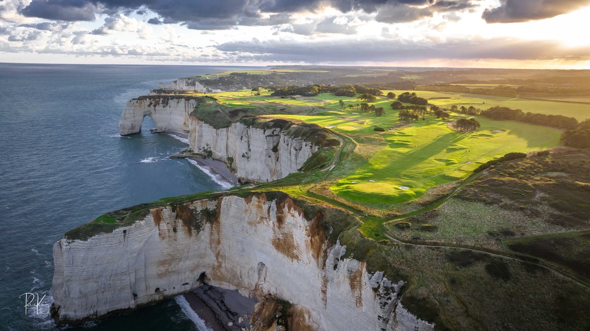 Patrick Koenig tweet media