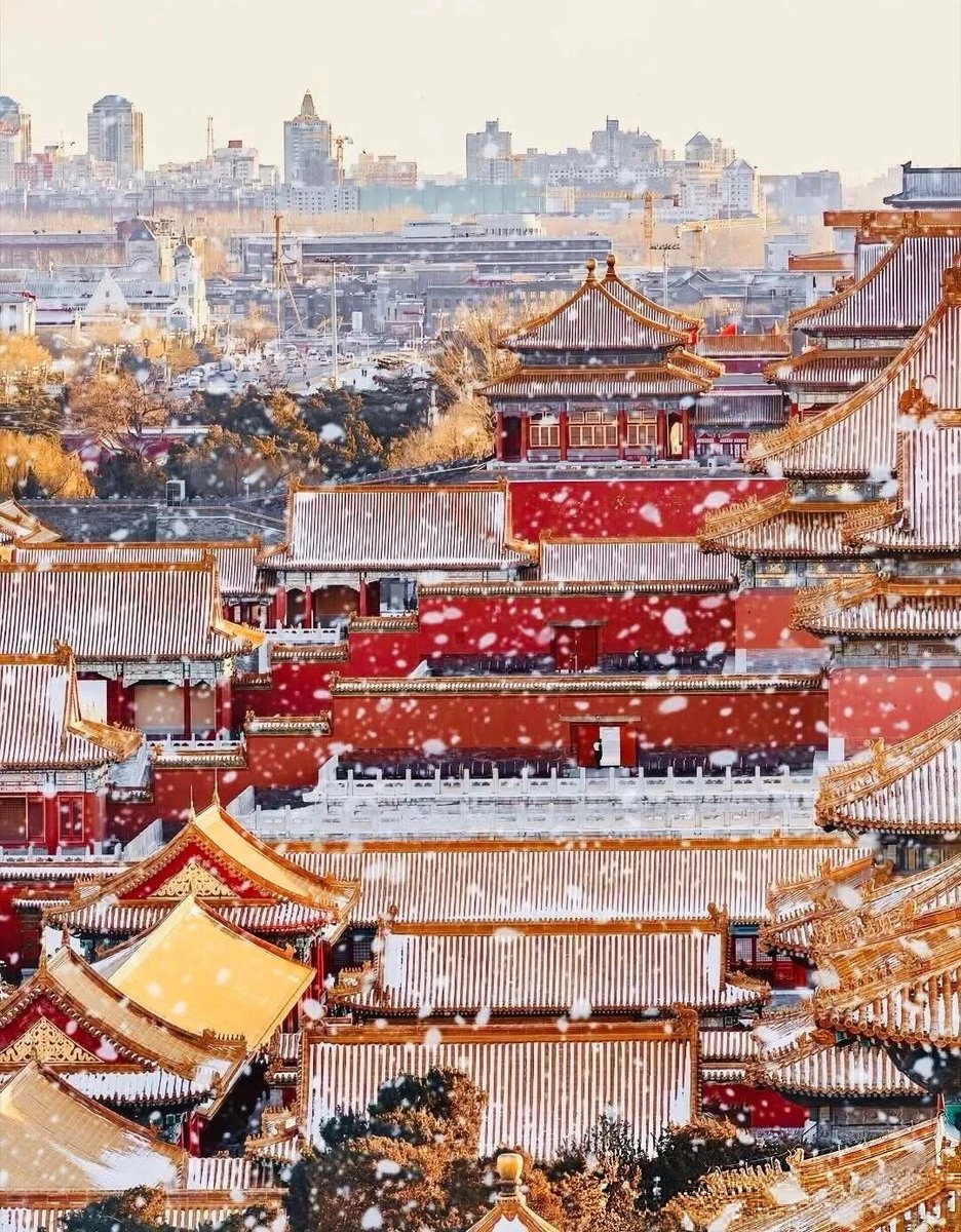 lavine90451045's tweet photo. 故宫的雪，美得像幅画。 https://t.co/HrekS5hQRj