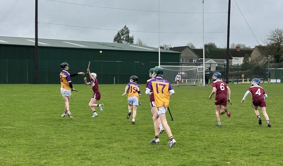 WexfordCBSGAA's tweet photo. Second Year hurling v FCJ Bunclody.
#CBSbuilt
🟣🟡🟣🟡 https://t.co/n3QTaPfILr
