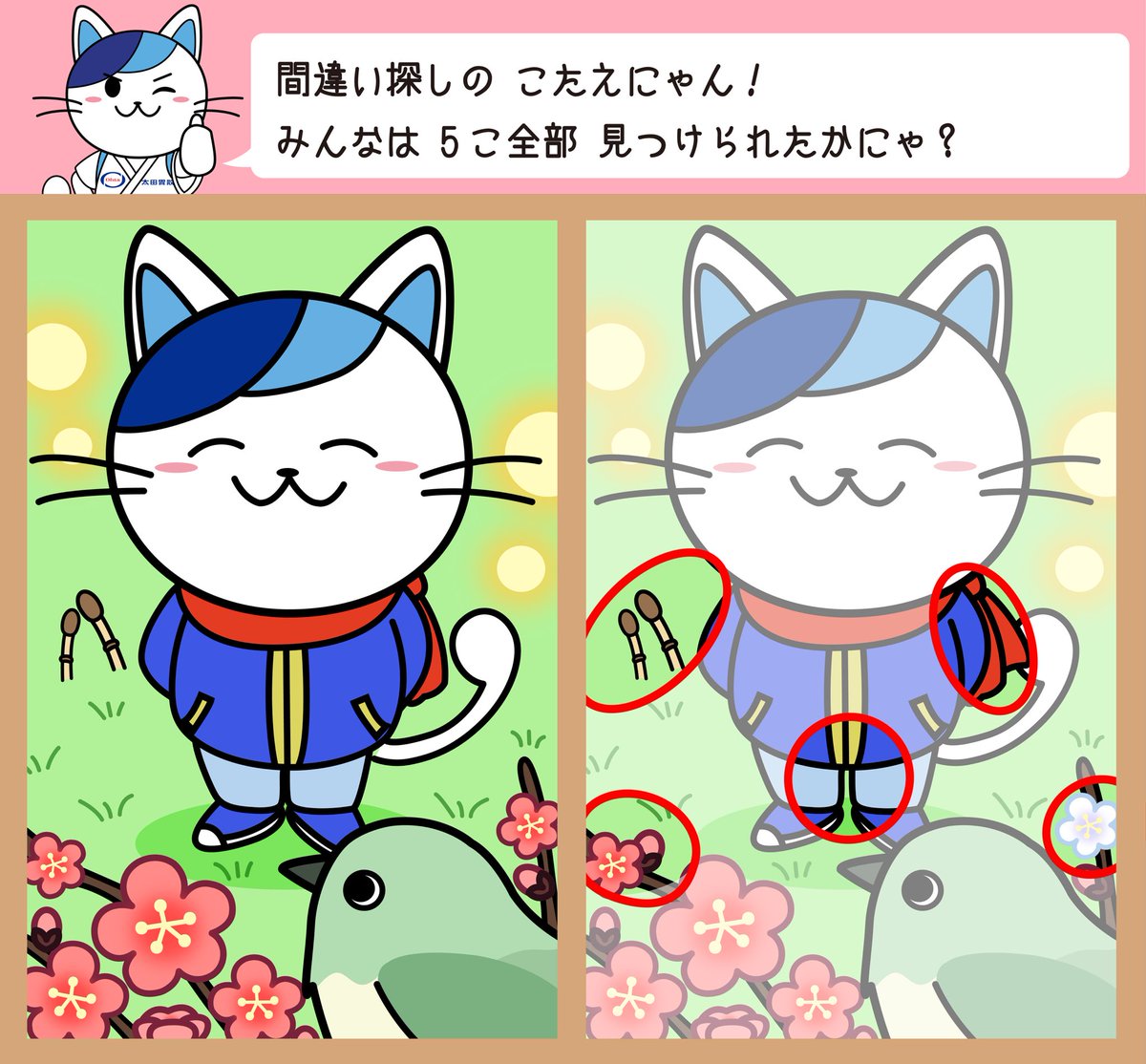 昨日の答えにゃん✨ みんなわかったかにゃ❓😽 答えてくれたみんな