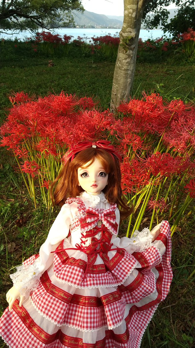 おはようございます。

半年前に湖畔の彼岸花を見に行った際に撮影した、まぁちゃの写真です。