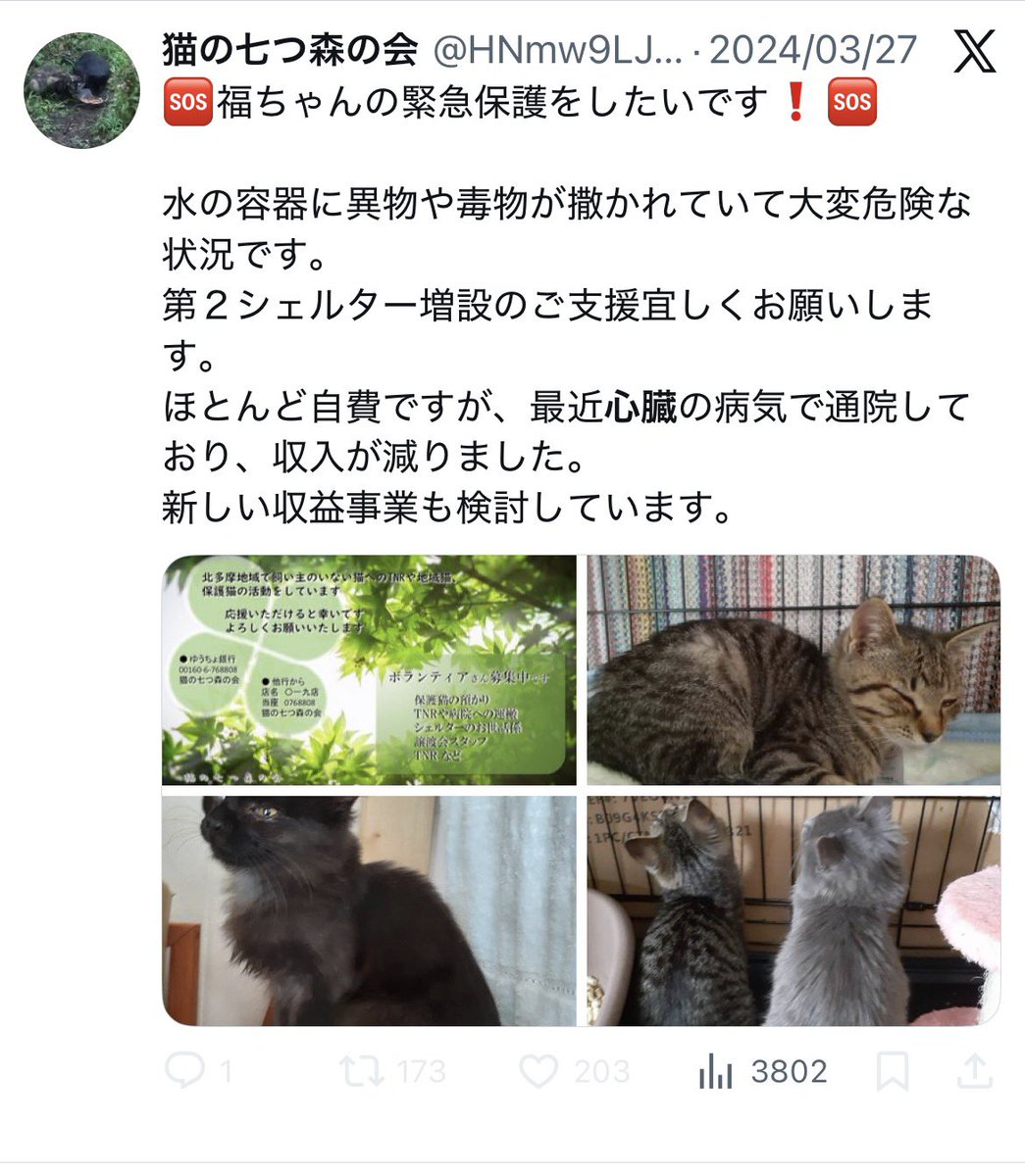 生まれが昭和だからか知らんけど、無理を押して保護猫活動する健気な自分（重体）アピールはやめてほしい🤔
そういうの流行らないよ。
