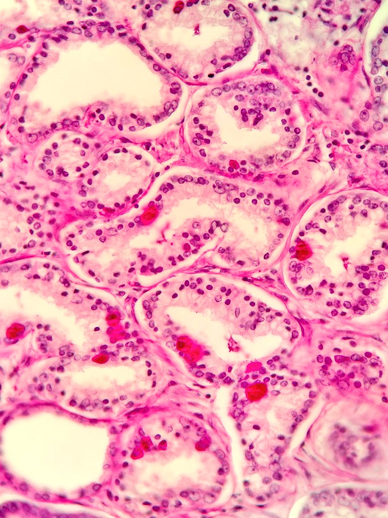 Perspectivapatológica tweet media