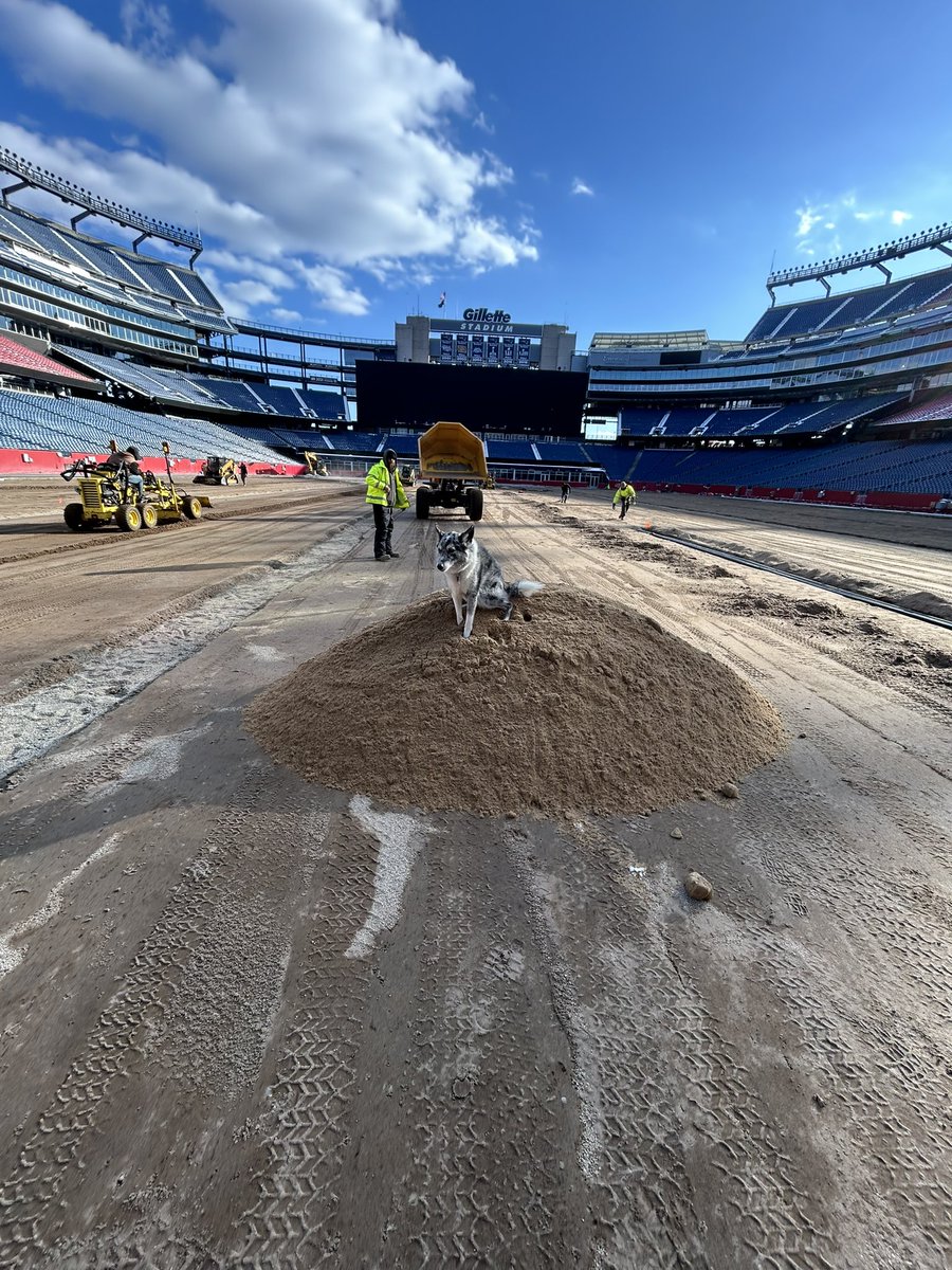 Ryan Bjorn tweet media