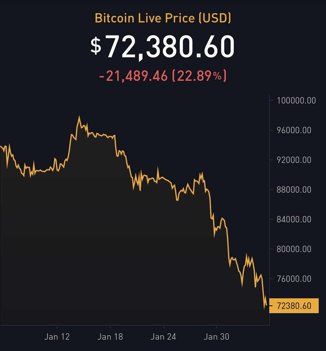 The ₿itcoin Therapist tweet media