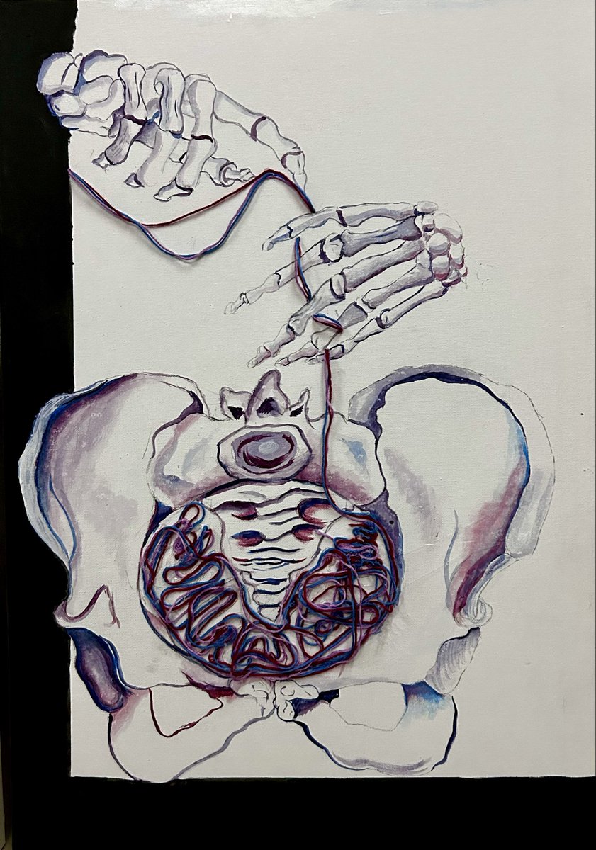 AlbatuulAlsh's tweet photo. My paintings for a urogynecology disorders campaign! https://t.co/cP4C9sHJIM