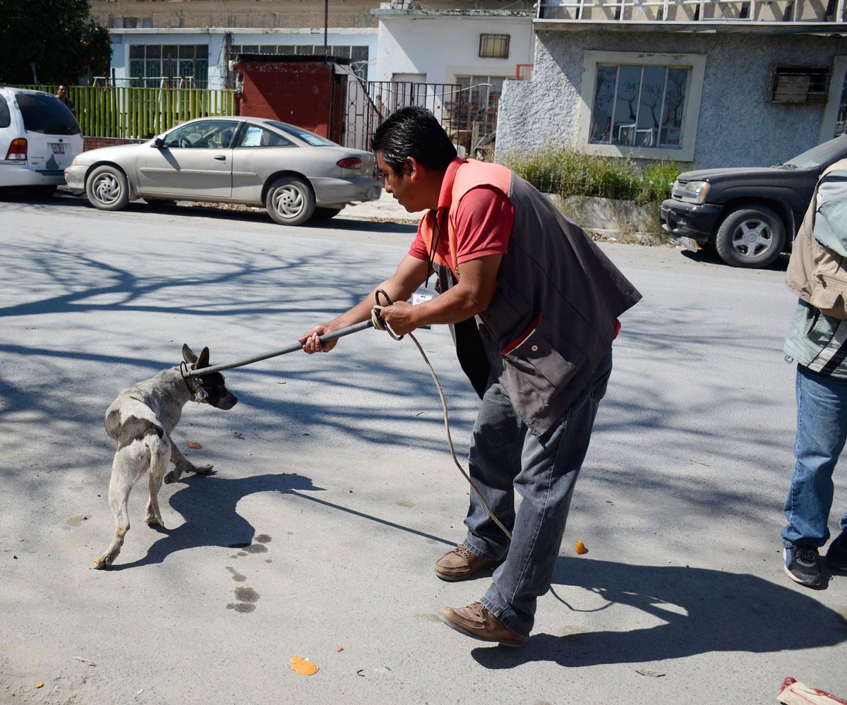 Toco salir a buscar a mi amiga porque anda necia.