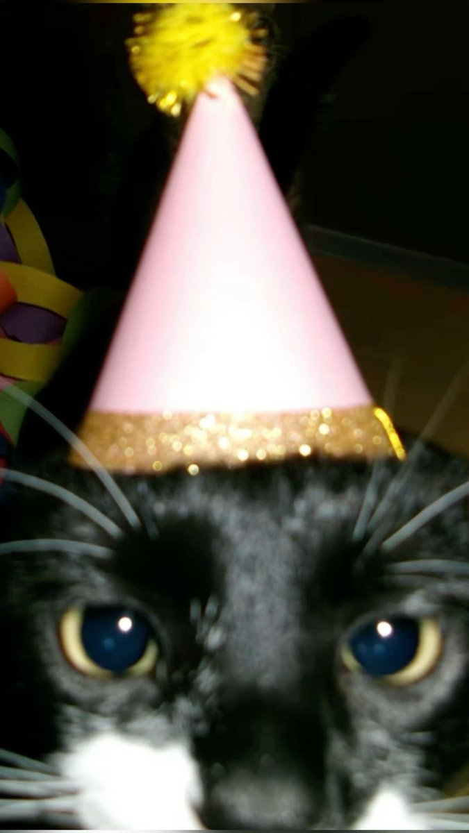 𝐧𝐚𝐭𝐢 tweet media