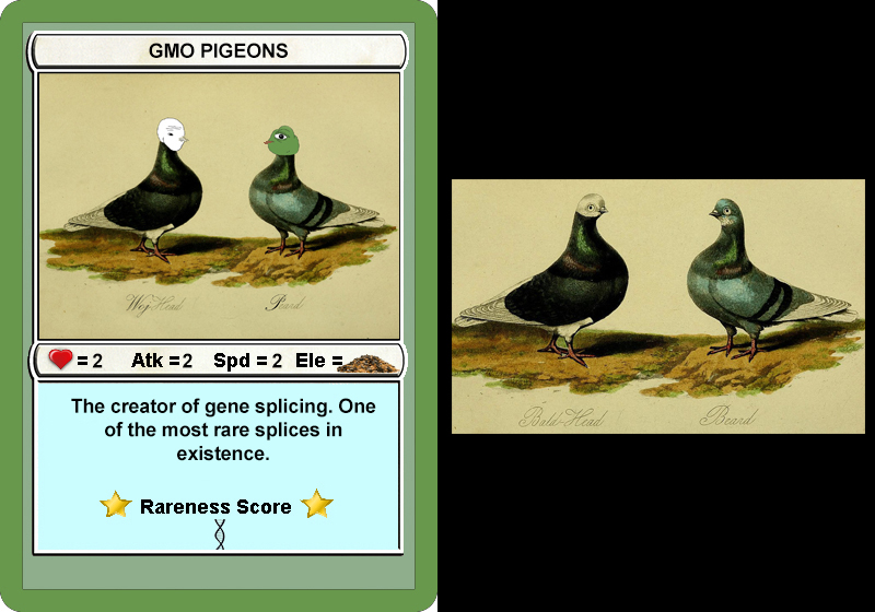 I'm honored to have my GMOPIGEONS included in <a href="/yorlov8/">Yuriy</a>'s Rare Pigeons Project as Series 2, Card 4. A dispenser has been opened for bird lovers and haters alike. 

cp20.tokenscan.io/tx/7956396ba15…

Lore: 
I used a plate from the 1858 book A Treatise on the Art of Breeding and Managing
