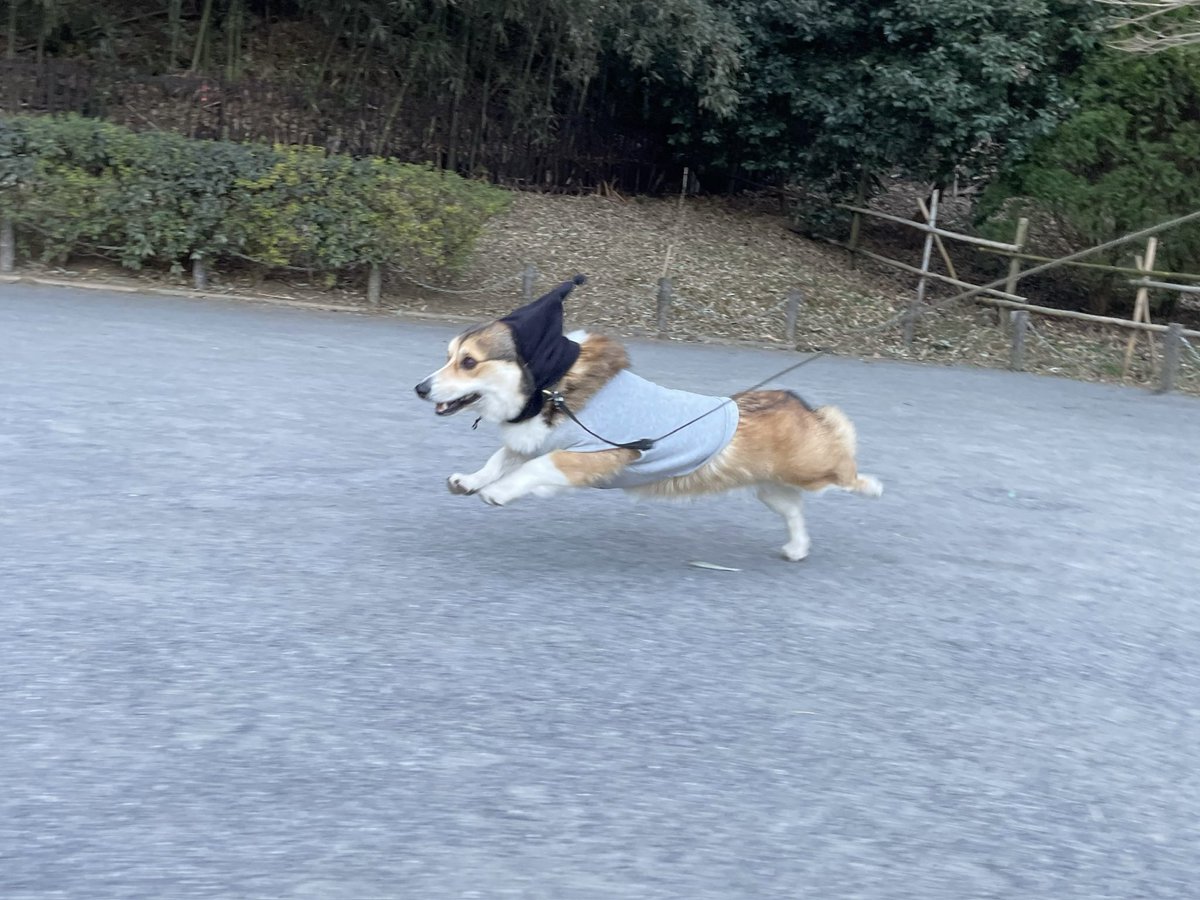 ヤ〜〜ッ