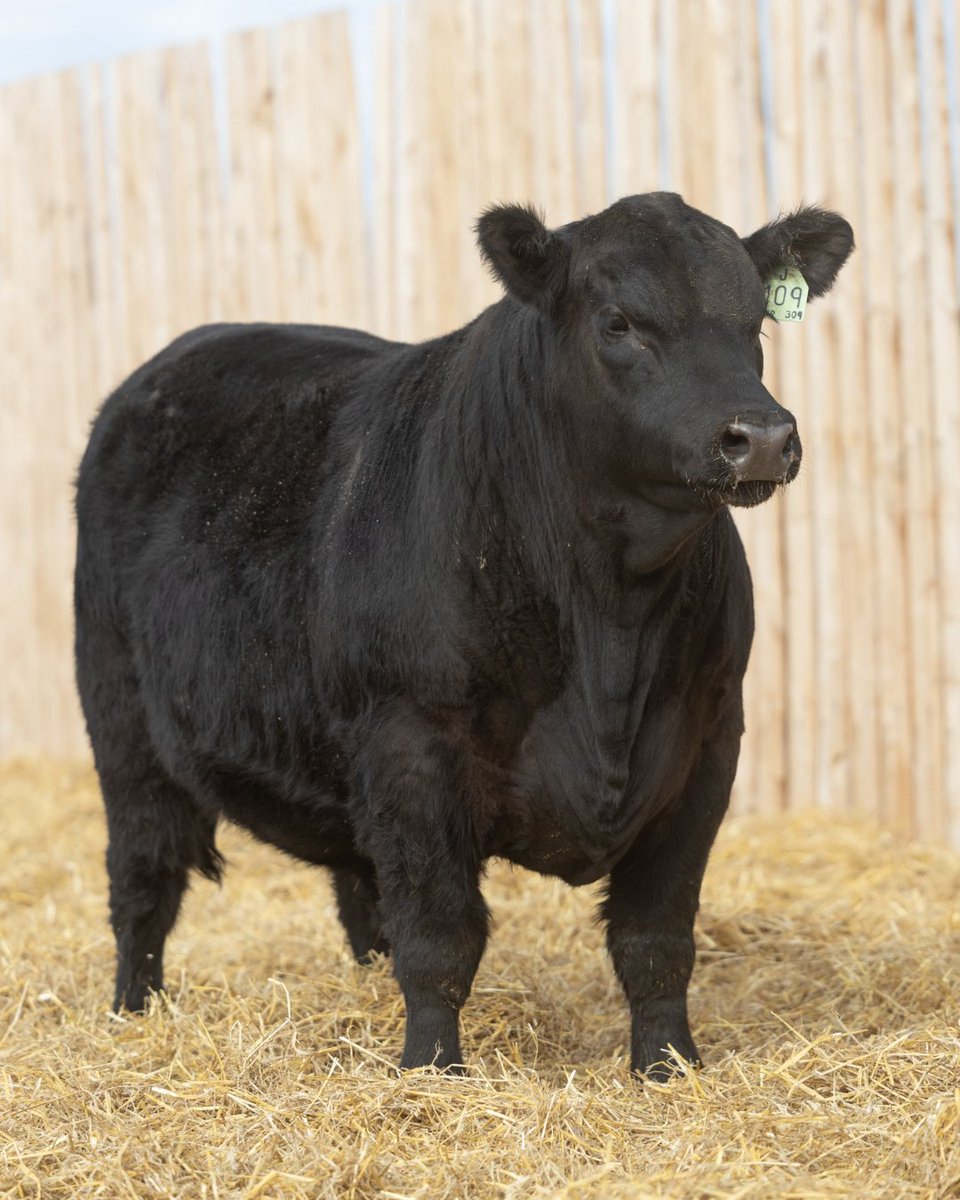 VBP+ Canada tweet media