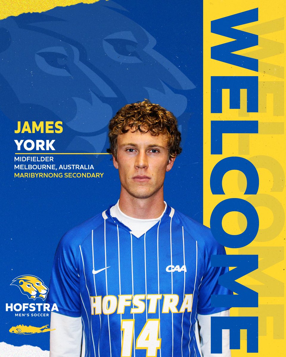 Hofstra Men's Soccer tweet media