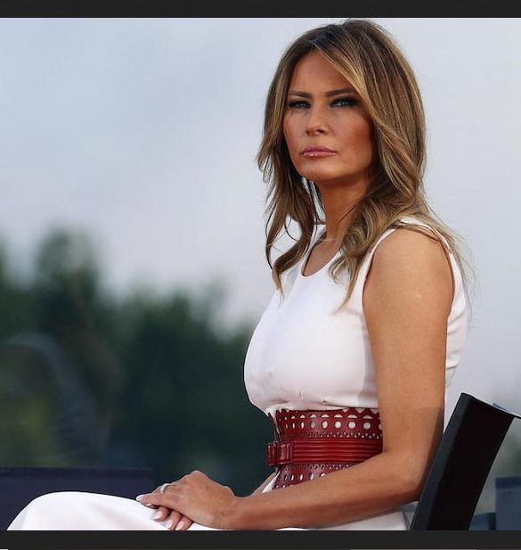 Maga Nadine tweet media