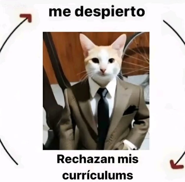 𓂃˖˳·˖ ִֶָ ⋆𝓫𝓮𝓴𝓪𝓪⋆ ִֶָ˖·˳˖𓂃 ִֶָ (@b3k4thh) on Twitter photo 