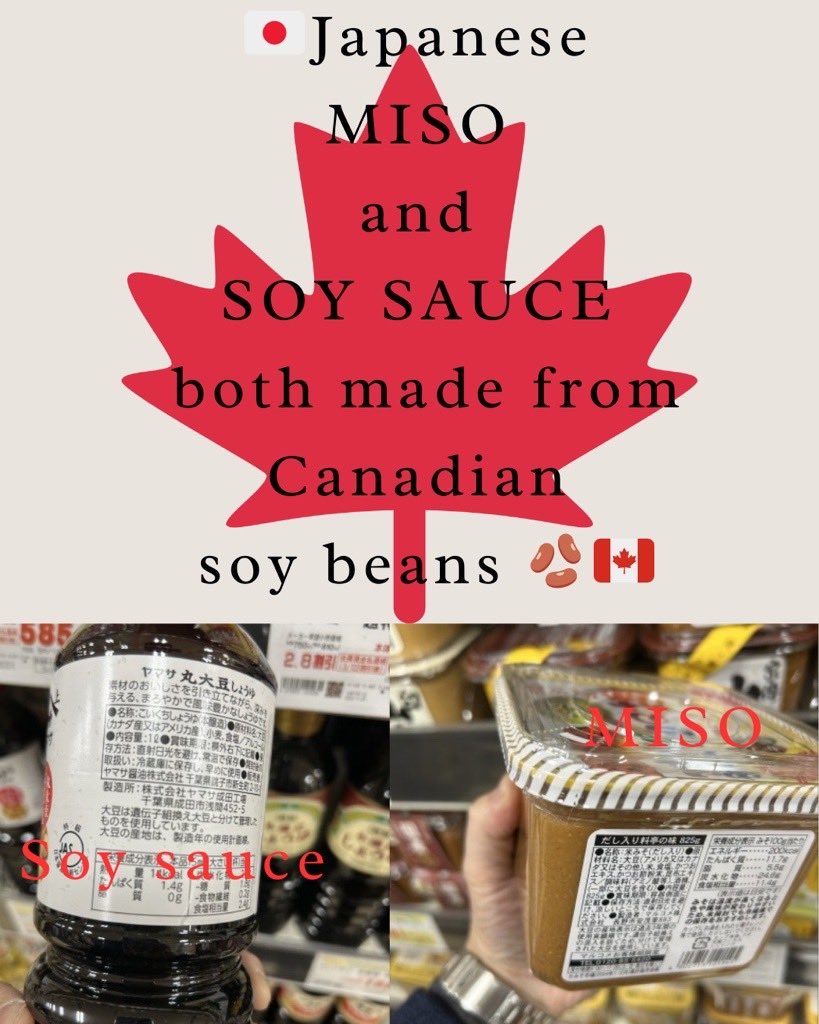 JapaninCanada's tweet photo. Canadian products in Japan found by DHM Ishi (Part 2)
Soy sauce, miso, and tofu are essential to the Japanese table 🍽️. All are made from soybeans 🌱. Japan imports large quantities of soybeans from Canada, which are used in these staples of Japanese cuisine.
Thank you, Canada! https://t.co/YBaROVlZ8q