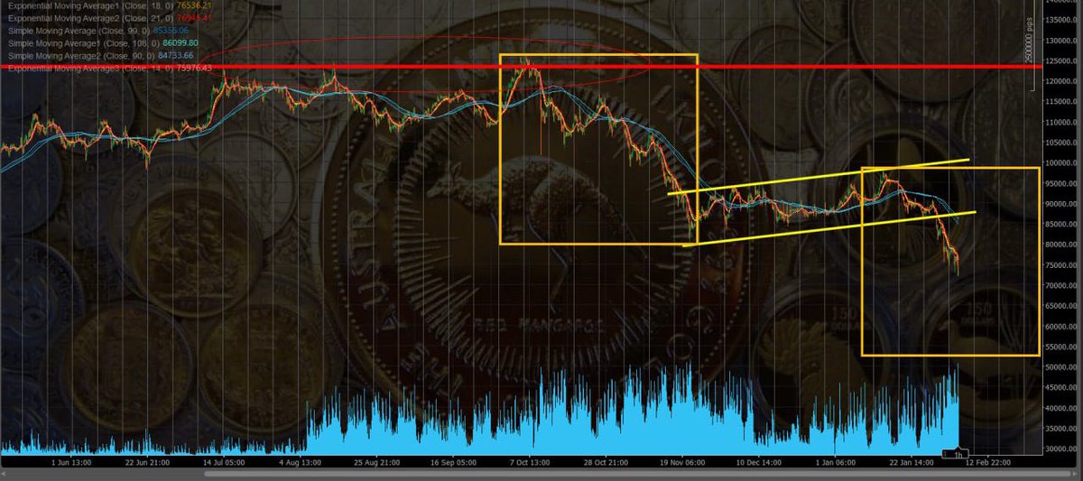 Thien Thien tweet media