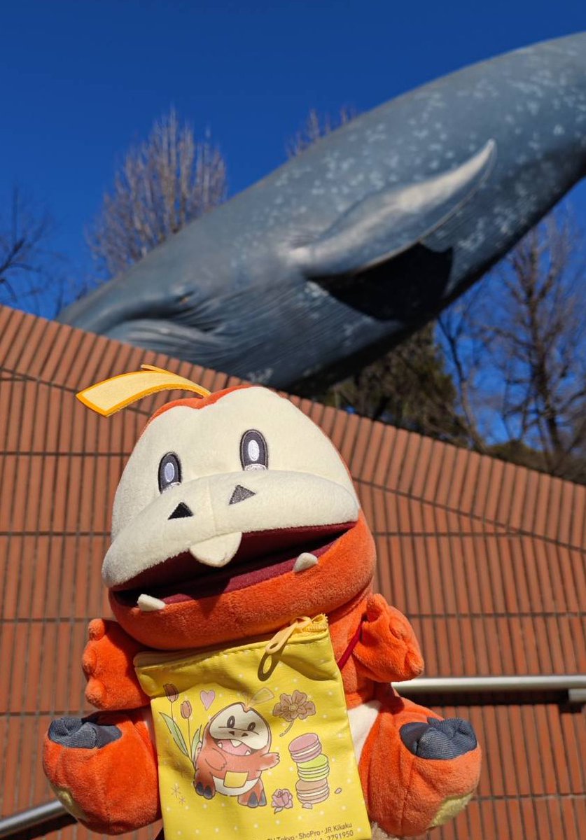 行ってきましたぁ！