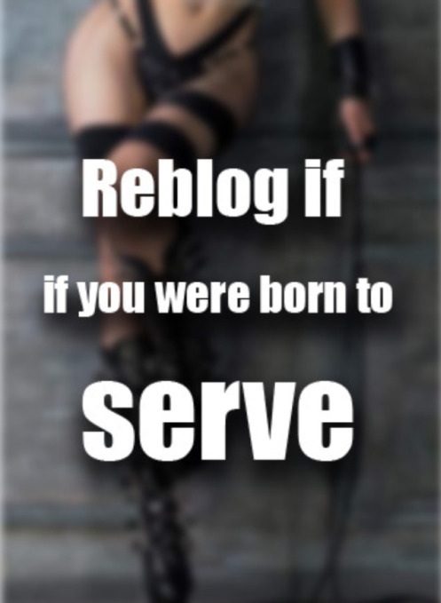 Femdom💋 tweet media