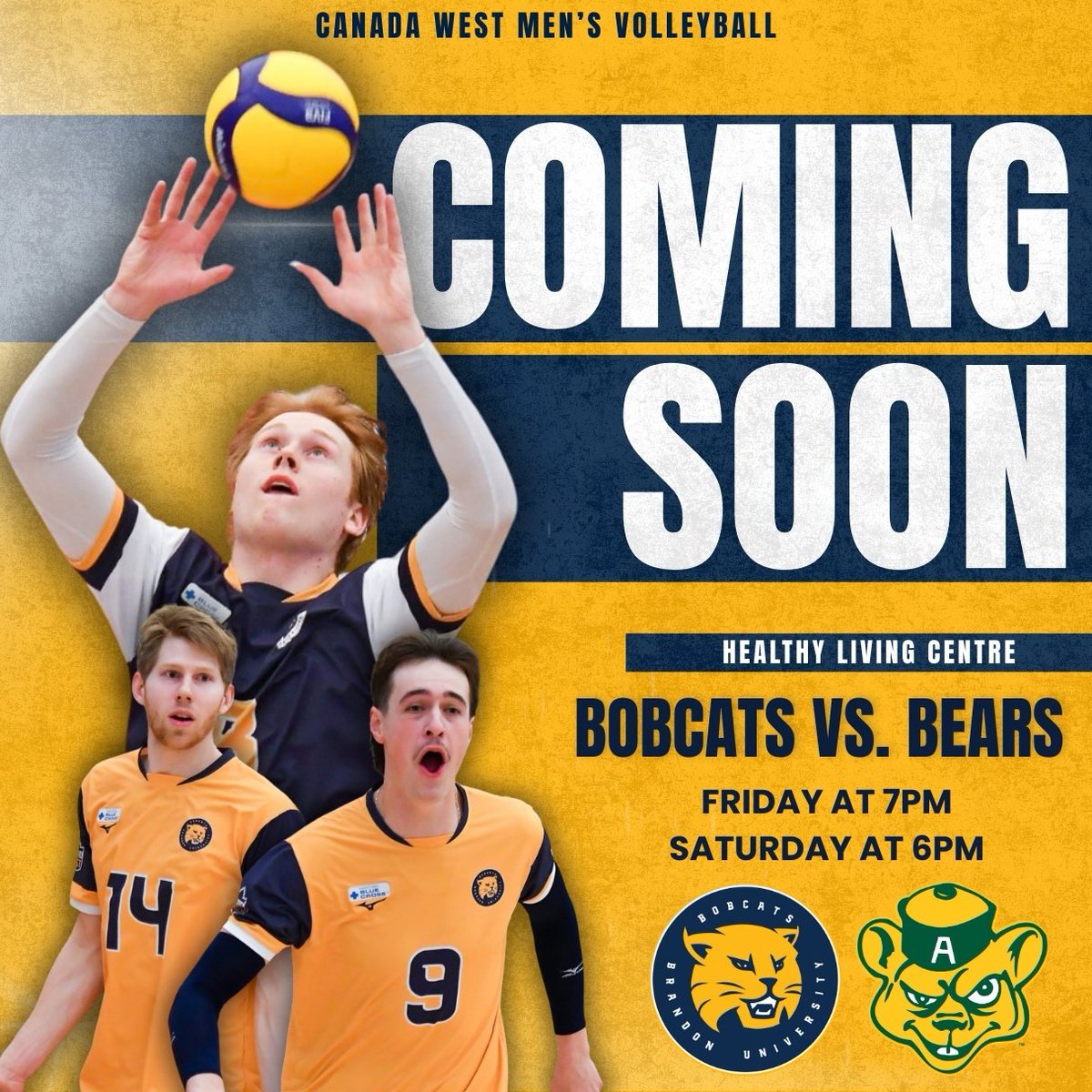 BUBobcats's tweet photo. 😼🆚🐻A rematch of the 2025 national men's volleyball final caps off our last regular season home matches this weekend.🙌💥🏐 https://t.co/Wh7l1bELBQ
