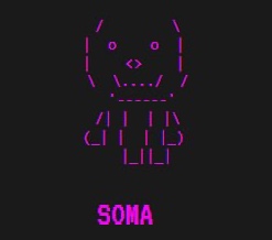 MikeSolFlow's tweet image. $Soma is showing a strong impulse up, breaking past key resistance levels after consolidating. What’s your view on this?

Next step: pumpfun launch → x.com/MikeSolFlow/st…

Coin: $Soma   (Soma)
CA: 79bqt5R9YKayWA3iXXeSNSAid6J23a5rddqhmoHypump