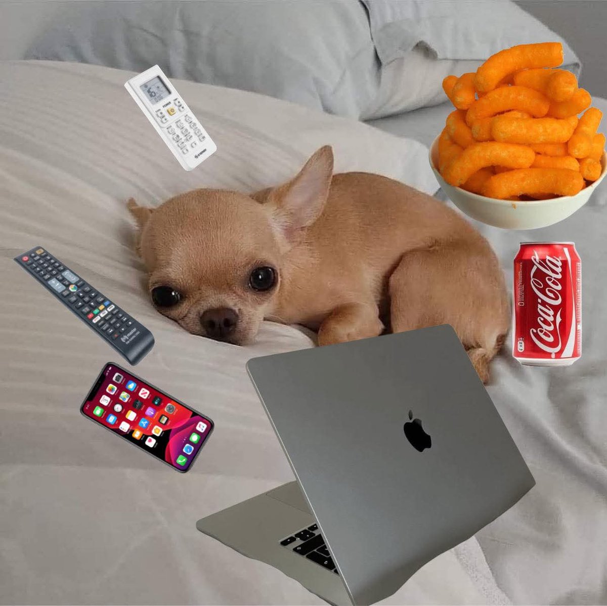 “A nadie le puede gustar tanto estar encerrado en su casa”
Yo: