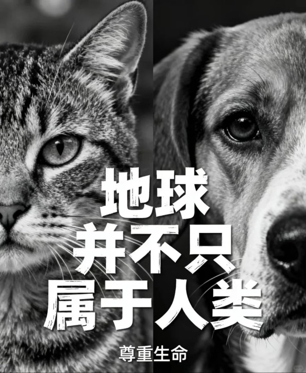 Takiawa3 tweet media