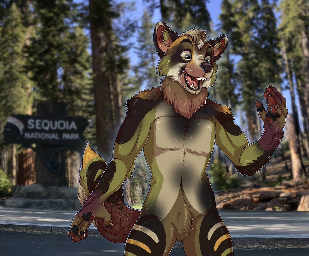 Sid ✈️ tweet media