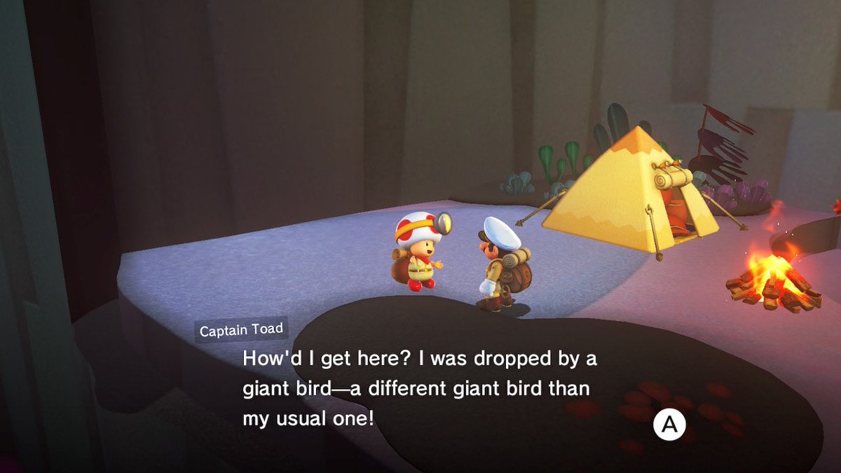 ToadlyToad 💎 tweet media
