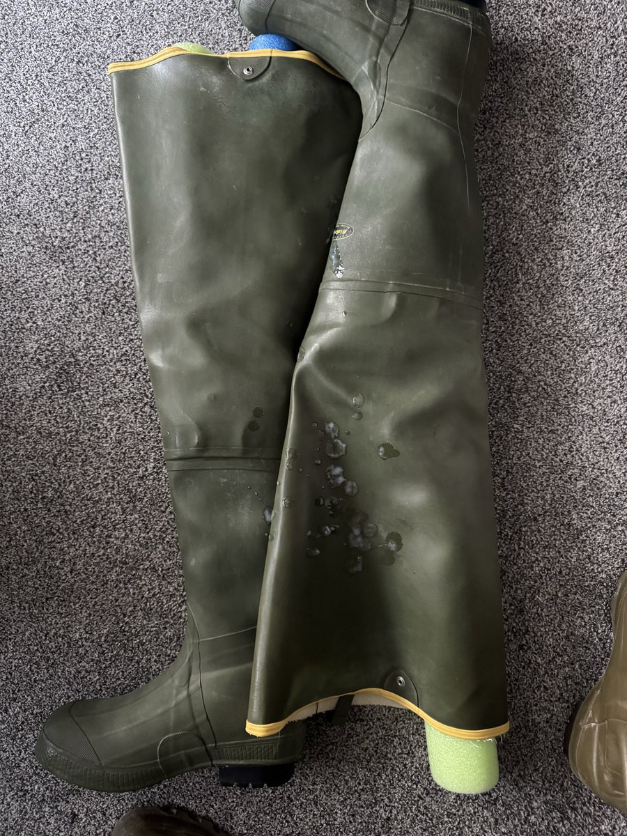 Bootstud tweet media