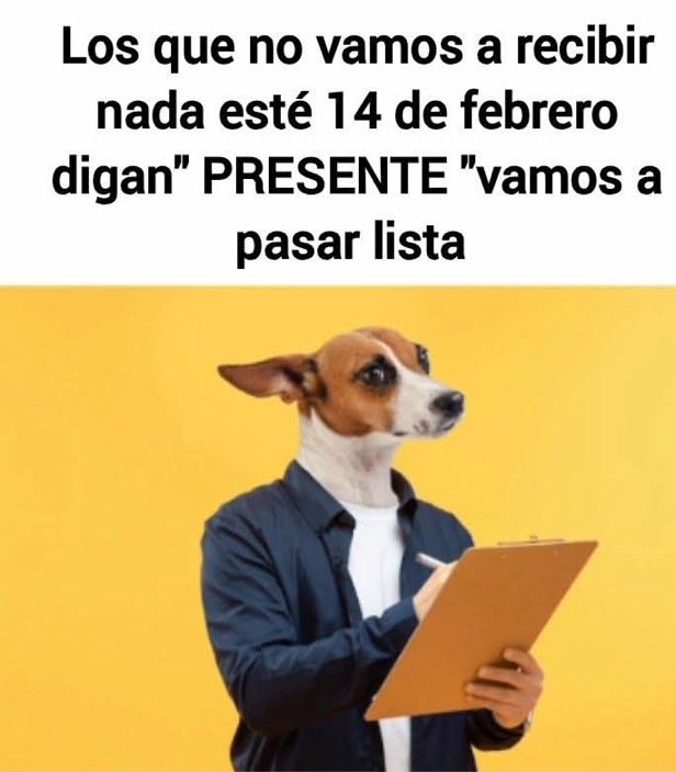 Fabiolacarolina tweet media