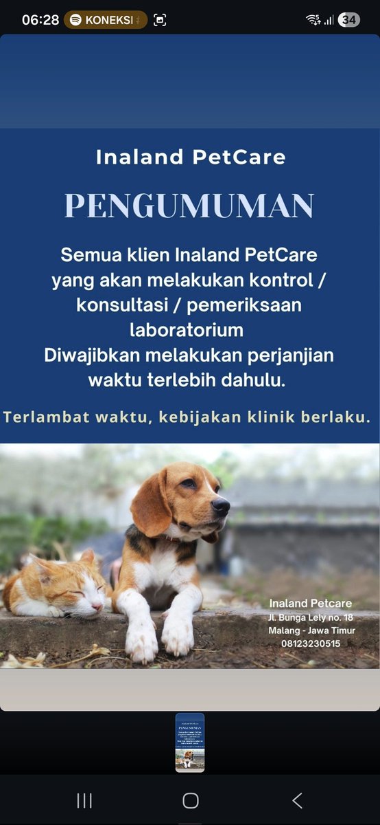 Muhammad Habibi tweet media