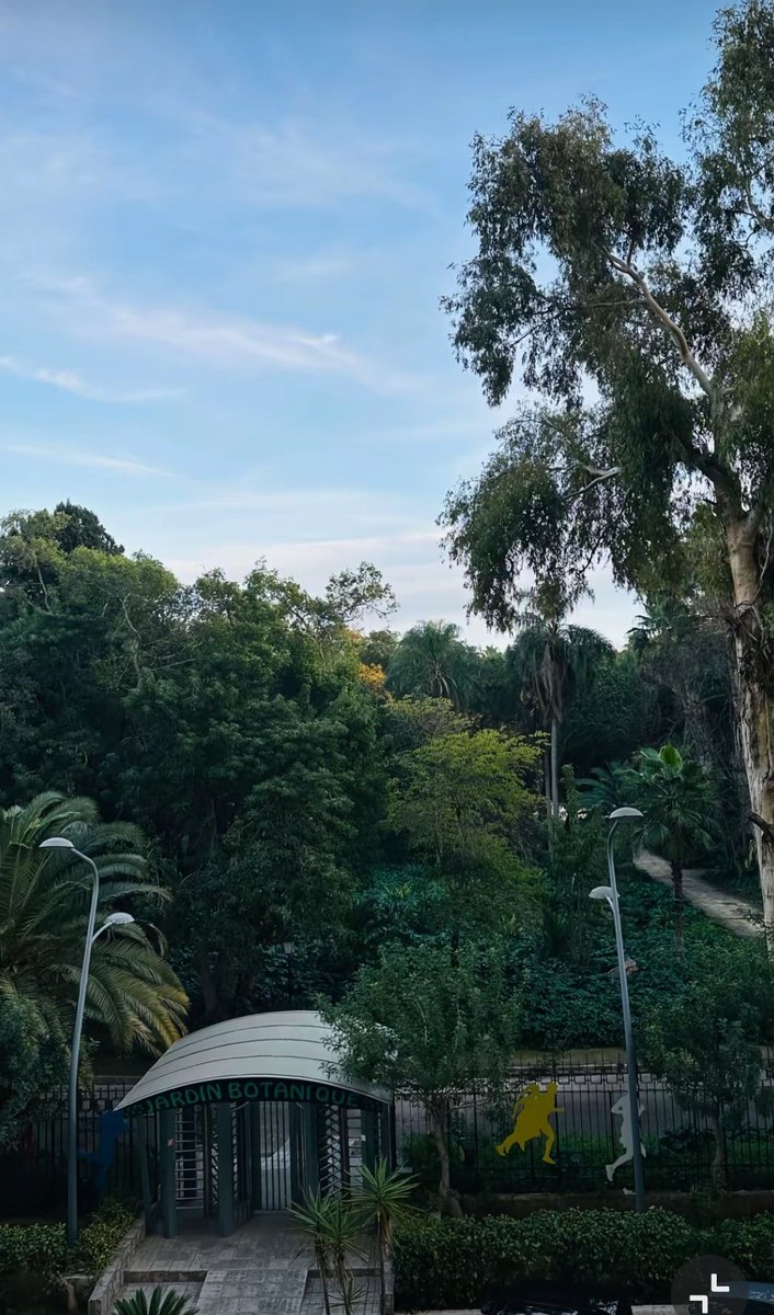 Ialgeria3's tweet image. #hotel #sofitel #alger