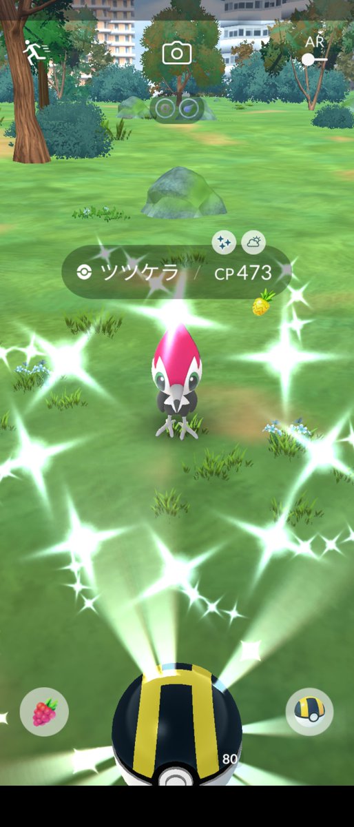 PikachuYokohama's tweet photo. Good morning. Today's shiny.
It's so cold, I can't feel my fingers!
朝のポケ活は寒くて指先が痛いですOrz
#PokemonGo #shiny #Lotad #Pikipek #PokemonGOfriend #ポケモンGO #ハスボー #ツツケラ #今日の色違い https://t.co/F9EiV9mPh4