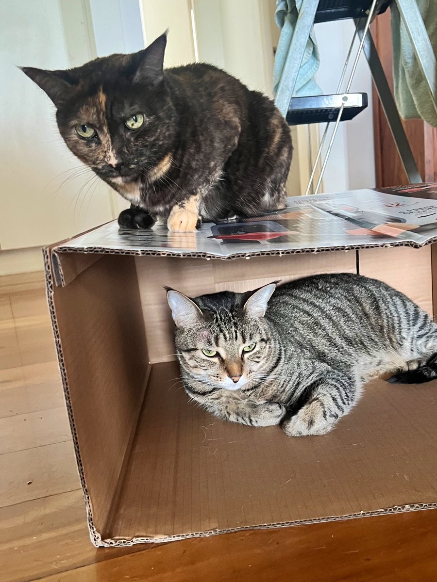 another box I can’t throw out