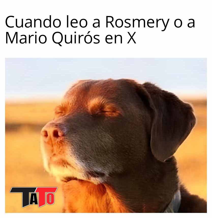 Ustedes no lo saben, pero seguro también lo hacen, cuando veo un nuevo posteo de <a href="/RosCasSol/">RosCasSol ♀️🌹</a> o de <a href="/marioquiross/">Mario Quirós</a> me siento tranquilamente con un traguito de café a instruirme