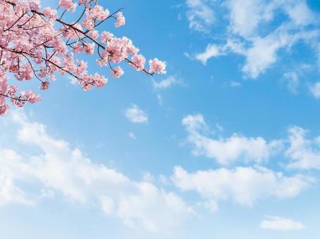 おはお✈️

自分の身近に起きてる事は、自分の中の鏡と思う考え方があります😌

よく「類は友を呼ぶ」と言いますが、それは人に限らず環境や事象等々にも当てはまるのかなと思います。

だからこそ楽しい成長に焦点を当て続ける。
思考が人は全てです！

今日も楽しもうっ
いってらっしゃい🏃‍➡️