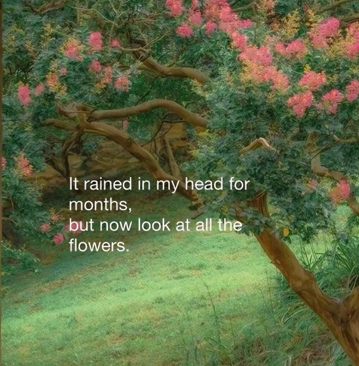 poetical photos. (@poeticalphotos) on Twitter photo 