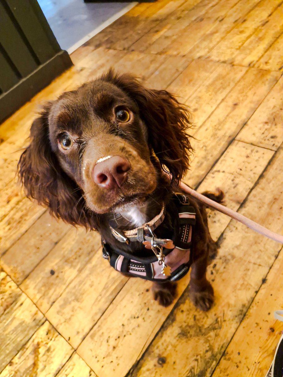 Dylan 👑 tweet media