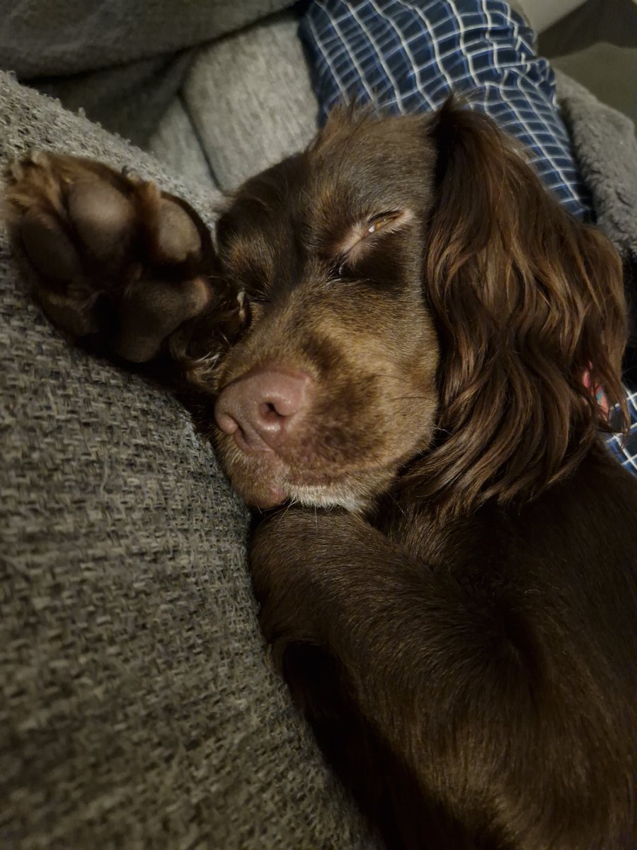 Dylan 👑 tweet media