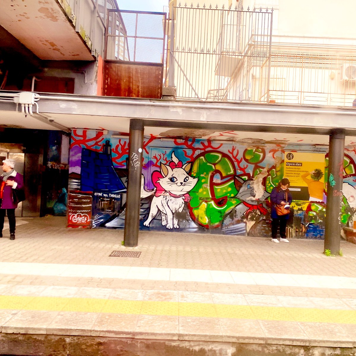 じゅんじゅんライブ情報 tweet media