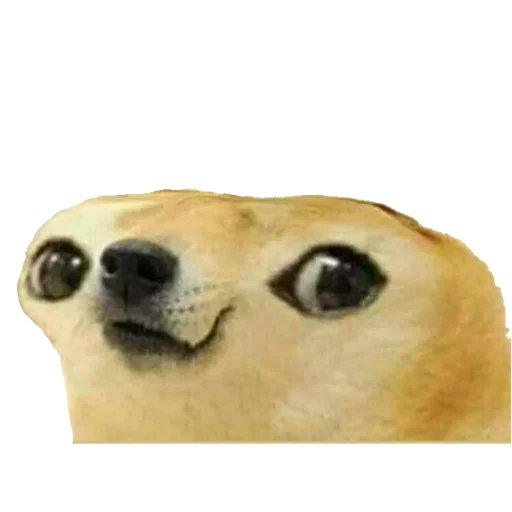 Cos | belcebú tweet media