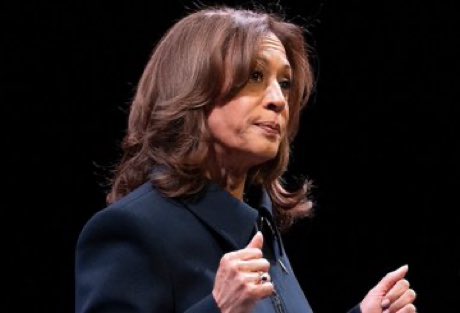 Kamala Fan tweet media