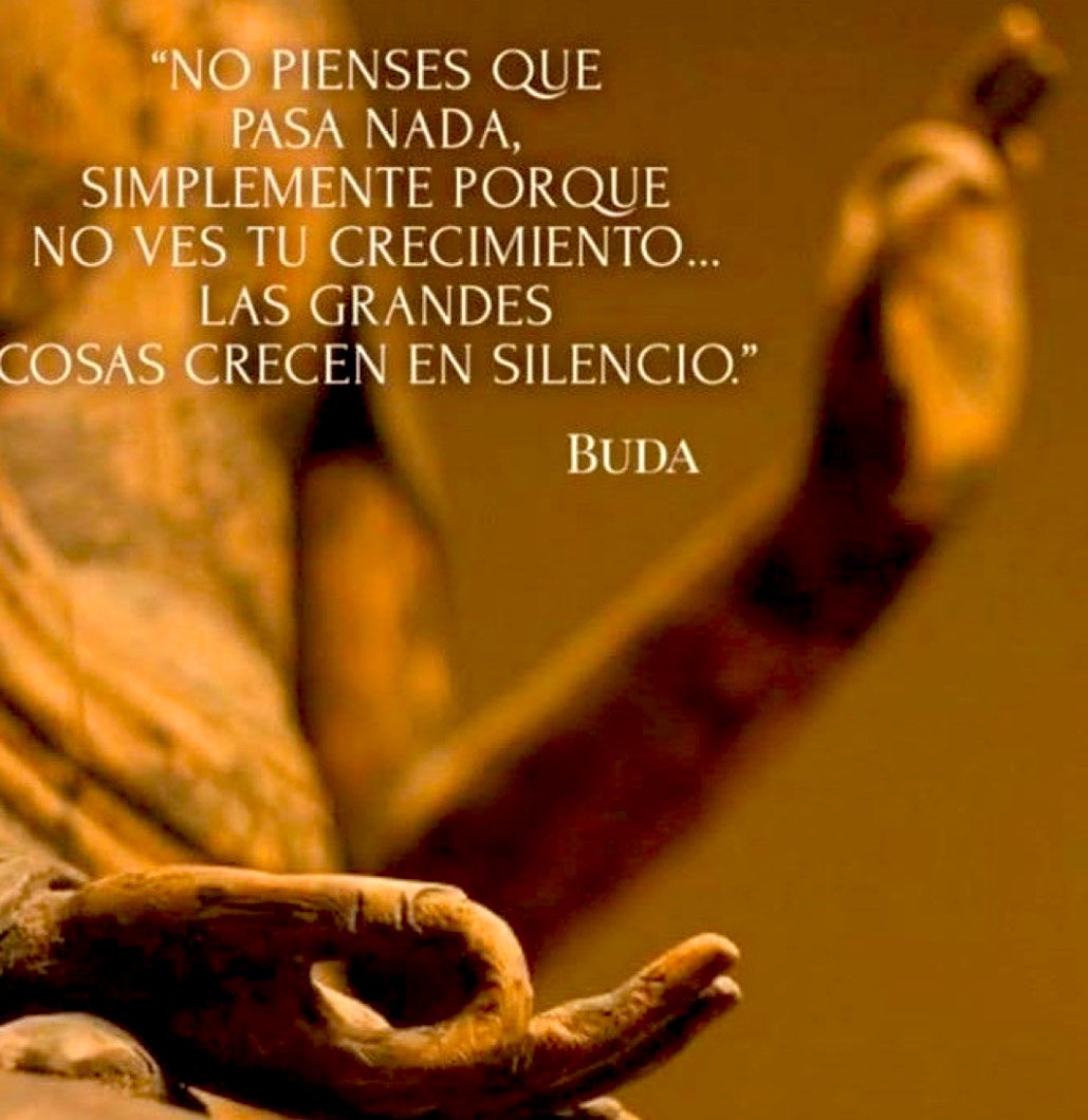 “Las grandes cosas crecen en silencio “
Muuy cierto…
#tardedereflexiones