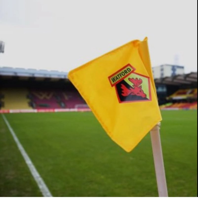 Javi Garcia leaves Watford FC