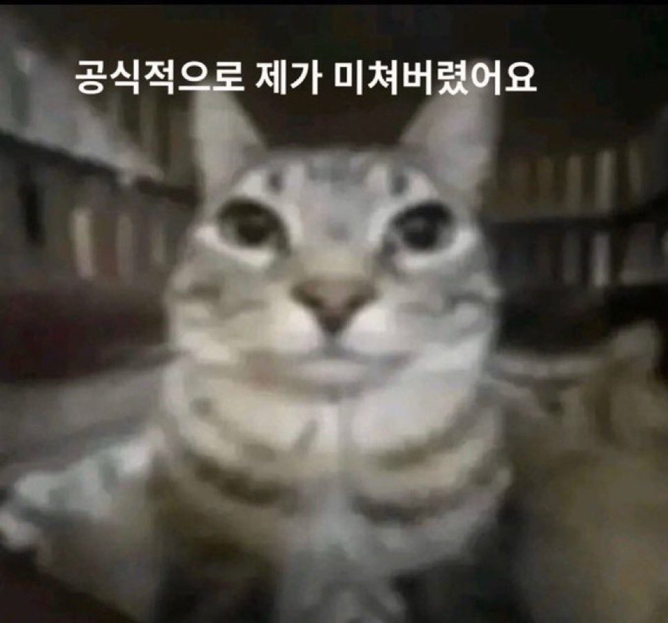 monkeyd_zz's tweet image. 목표가 있는 남자들이란 얼마나 아름다운 것인가.. 근데 이제 각자 목표가 다른데
내가 걔를 아끼는만큼 서로의 목표도 존중해주는 남자들이라 걍 나만 정신뼝자됨