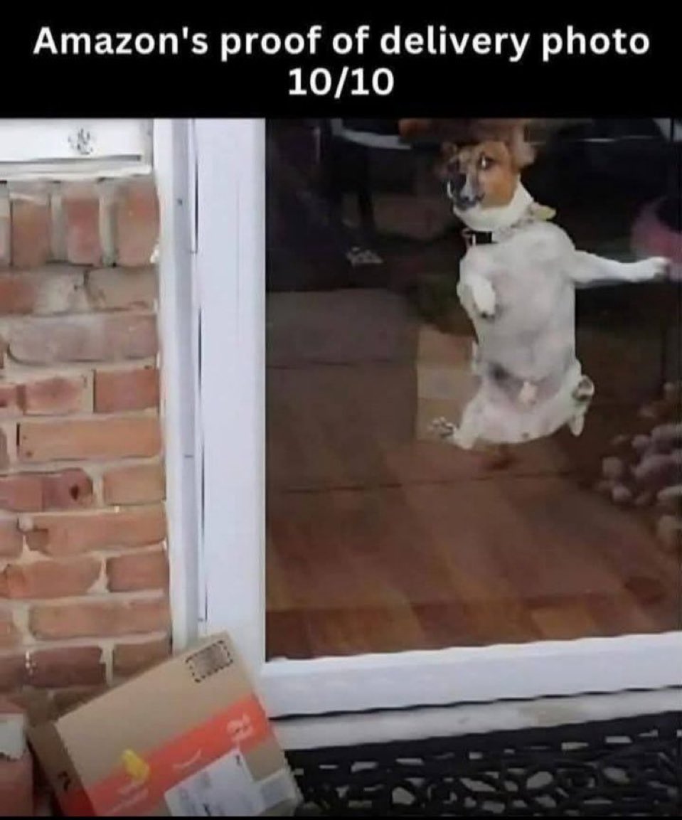 GnosisWolf's tweet image. Well, this clearly wins! 🏆😂😂