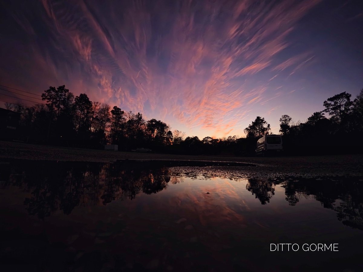 Ditto Gorme tweet media